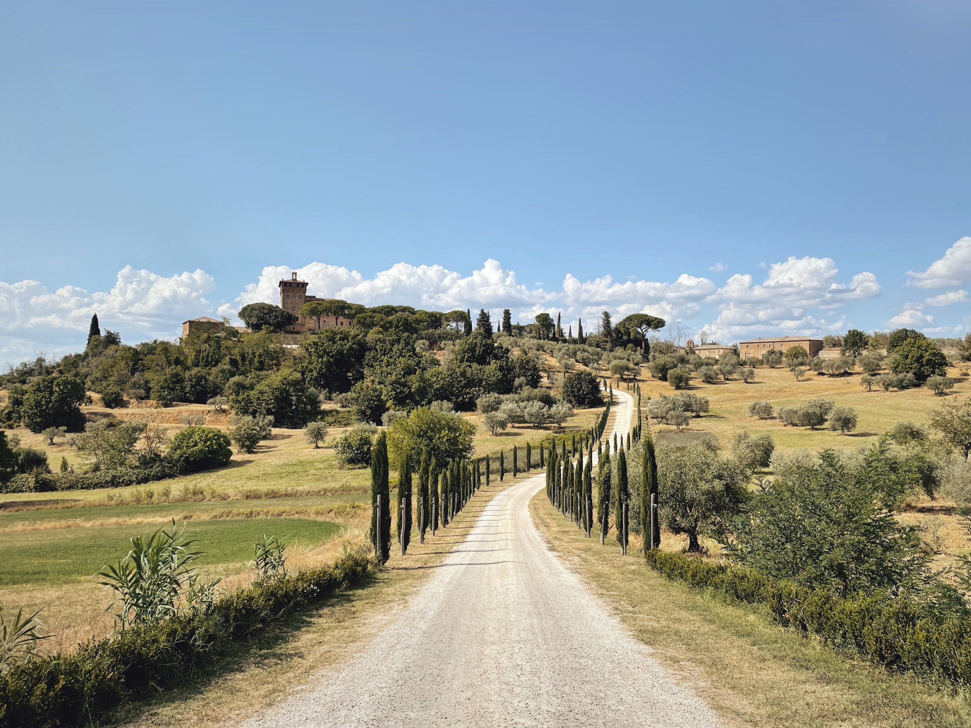 A cypress-lined road through the Tuscan countryside